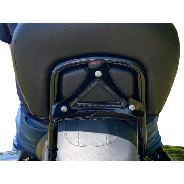 (image for) Custom Dynamics Run/Brake Backrest LED Light Black