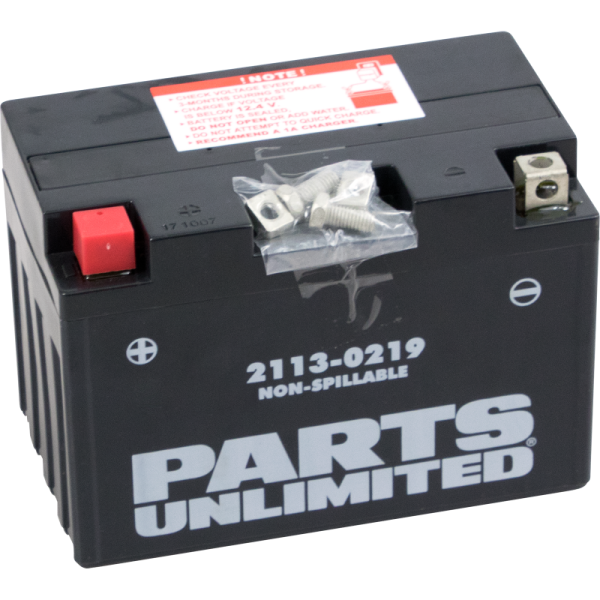 (image for) PARTS UNLIMITED BATTERIES Factory-Activated AGM Maintenance-Free Battery YT12A-BS