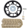 (image for) Vortex Chain Kit - Gold - BMW S 1000 RR 20-23