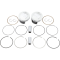 (image for) Tracker Series Piston Kit - 3.875" Bore