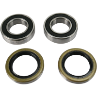 (image for) Rear Wheel Bearing and Seal Kit