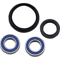 (image for) Front Wheel Bearings and Seal Kit