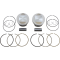 (image for) Tracker Series Piston Kit - 3.885" Bore