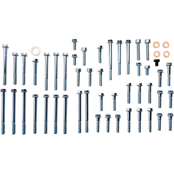 (image for) BOLT Engine Fastener Kit - Suzuki RM-Z250 04-06