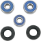 (image for) Front Wheel Bearing and Seal Kit