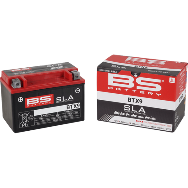 (image for) BS Battery SLA AGM Battery 2113-0630