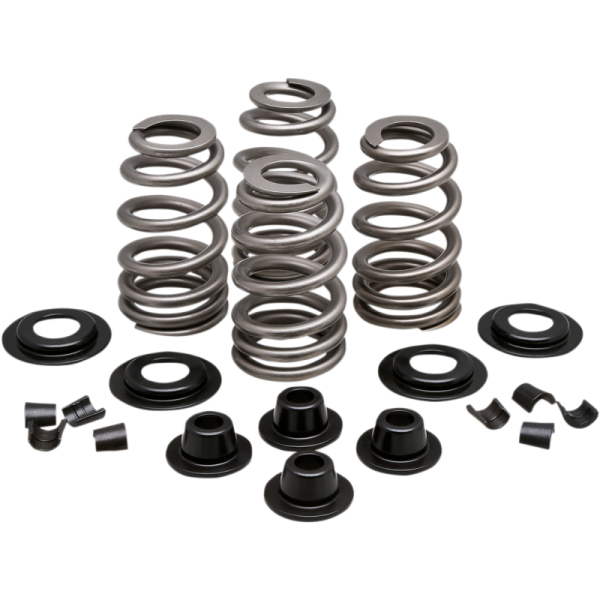 (image for) KIBBLEWHITE KPMI Valve Spring Kit 0926-2999