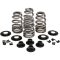 (image for) KPMI Valve Spring Kit 0926-2999
