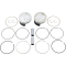 (image for) Tracker Series Piston Kit - 3.895" Bore