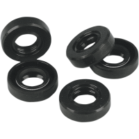 (image for) Shifter Shaft Seal 00-06 5-sp (Double Lip)