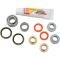 (image for) Pivot Works Shock Bearing Kit