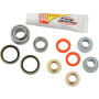 (image for) Pivot Works Shock Bearing Kit