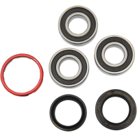 (image for) Rear Wheel Bearing and Seal Kit