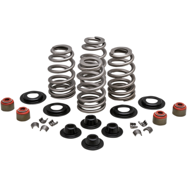 (image for) KPMI Valve Spring Kit 0926-3000
