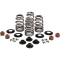 (image for) KPMI Valve Spring Kit 0926-3000