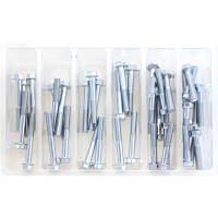 (image for) M6 & M8 Hex Flange Bolt Assortment 2