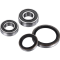 (image for) Front Wheel Bearing Kit - KTM