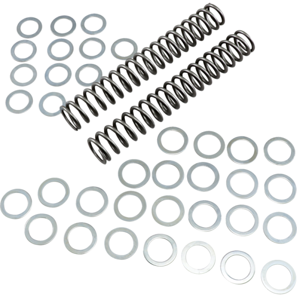 (image for) Race Tech Fork Spring 0405-0142