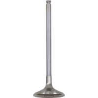 (image for) White Diamond Exhaust Valve