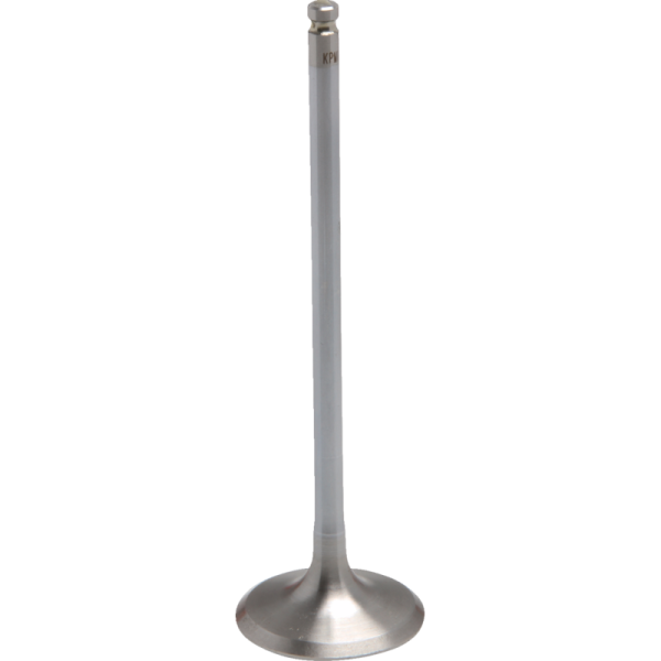 (image for) KIBBLEWHITE White Diamond Intake Valve
