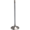 (image for) White Diamond Intake Valve