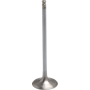 (image for) White Diamond Intake Valve