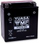 (image for) Yuasa AGM Maintenance-Free Battery YTX16-BS