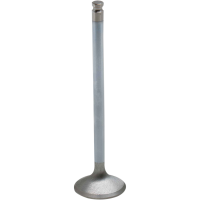 (image for) White Diamond Intake Valve