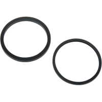(image for) Caliper Seals Only Kit 1702-0124