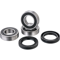 (image for) Factory Links OEM Series Rear Wheel Bearing Kit 0215-1225