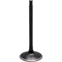(image for) Fat Stem Black Diamond Exhaust Valve