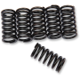 (image for) Barnett Clutch Springs for Kawasaki ZX-6RR 04