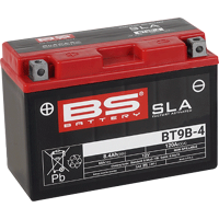 (image for) BS Battery SLA AGM 2113-0620