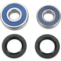 (image for) Rear Wheel Bearings and Seal Kit