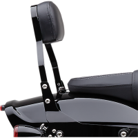 (image for) Detachable Backrest Kit Square