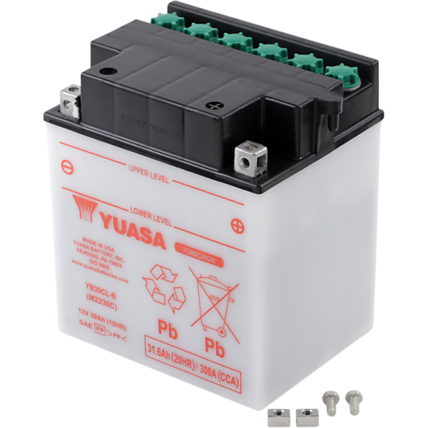 (image for) Yuasa Yumicron 12V Battery YB30CL-B