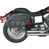 (image for) Saddlebags for Dyna