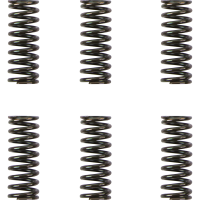 (image for) Barnett Heavy-Duty Spring Set for Ducati 800 S2R 06-07