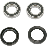 (image for) Front Wheel Bearing and Seal Kit