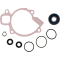 (image for) ProX Water Pump Repair Kit
