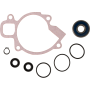 (image for) ProX Water Pump Repair Kit