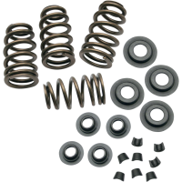 (image for) Sidewinder 0.650" Valve Spring Kit