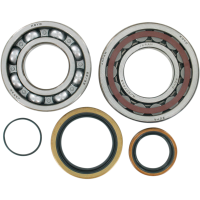 (image for) Crank Bearing and Seal Kit - KTM 300 XC-W Six Days 15-20