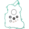 (image for) ProX Water Pump Repair Kit