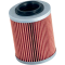 (image for) K&N Performance Oil Filter KN-152