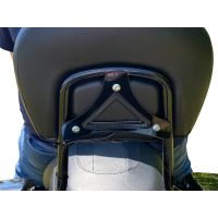 (image for) Run/Brake Backrest LED Light Black