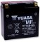 (image for) Yuasa AGM Maintenance-Free Battery 2113-0069