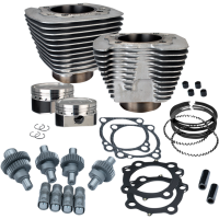 (image for) Hooligan Kit 883cc to 1200cc Silver Powdercoat