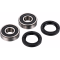 (image for) Front Wheel Bearing Kit - YAMAHA