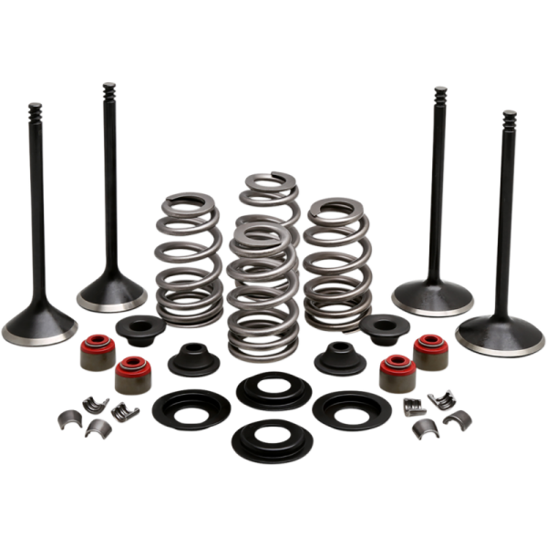 (image for) KIBBLEWHITE Black Diamond Engine Valve Kit for Twin Cam